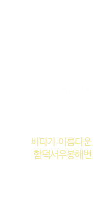 낚시체험안내